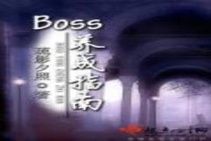 BOSS养成指南